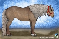 Horse Color:Silver Black 