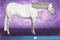 Horse Color:Silver Blue Ice Roan 