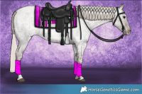 Horse Color:Silver Blue Ice Roan 
