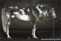 Horse Color:White Spotted Liver Chestnut Sabino Splash Frame 