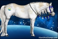 Horse Color:White Spotted Palomino Dun Splash Rabicano