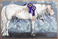 Horse Color:White Spotted Brown Dun Sabino Appaloosa Brindle  and White Spotted Liver Red Dun Sabino Appaloosa Brindle 