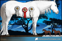 Horse Color:Chocolate Brown Dun Splash Varnish Brindle 