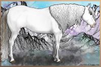 Horse Color:Buckskin Appaloosa  and Buckskin Appaloosa 