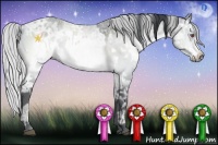 Horse Color:Brown Chinchilla Ice  and Silver Brown Chinchilla Ice 