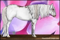 Horse Color:Silver Brown Sabino Frame 