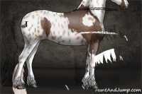 Horse Color:White Spotted Silver Brown Sabino  and White Spotted Brown Pearl Sabino Splash Appaloosa 