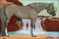 Horse Color:Liver Red Dun 