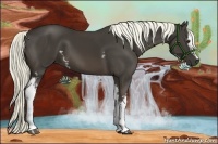 Horse Color:White Spotted Liver Chestnut 