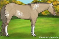 Horse Color:White Spotted Liver Red Dun Rabicano 