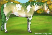 Horse Color:Watercolor White Spotted Buckskin Onyx 