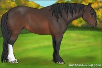 Horse Color:Brown 