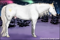 Horse Color:White Spotted Silver Classic Champagne Pearl Dun Sabino Splash 