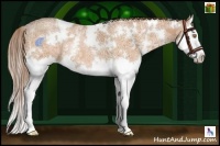 Horse Color:White Spotted Bay Ice Pearl Splash