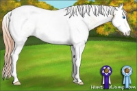 Horse Color:White Spotted Buckskin Pearl Dun Splash Tobiano Appaloosa 