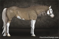 Horse Color:Chocolate Palomino Splash