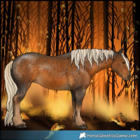 Horse Color:Chocolate Palomino