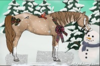Horse Color:Liver Chestnut Pearl 