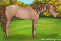 Horse Color:Brown Pearl 