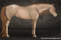 Horse Color:Liver Chestnut Pearl 