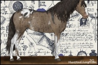 Horse Color:White Spotted Liver Red Dun Appaloosa Rabicano