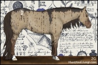 Horse Color:Liver Red Dun Appaloosa Rabicano 