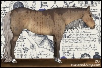 Horse Color:Silver Brown Dun