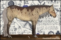 Horse Color:Silver Brown Dun 