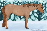 Horse Color:Red Roan 