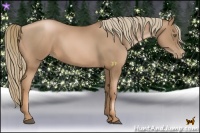 Horse Color:Liver Chestnut Pearl 