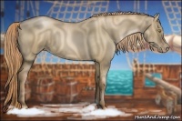 Horse Color:Liver Red Dun Pearl 