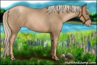 Horse Color:Liver Chestnut Pearl 