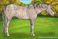Horse Color:Bay Ice and Liver Chestnut Ice Pearl