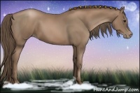 Horse Color:Black Pearl