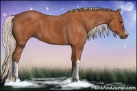 Horse Color:Silver Bay