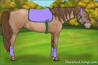 Horse Color:Brown Pearl 