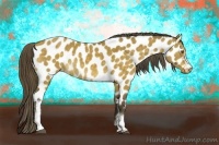 Horse Color:White Spotted Buckskin Dun Near Leopard Brindle 