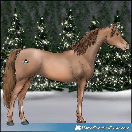 Horse Color:Liver Chestnut Pearl 