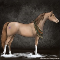 Horse Color:Liver Chestnut Pearl 