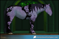 Horse Color:ERROR: UNKNOWN ANOMALY