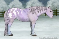 Horse Color:Watercolor Black Pearl Sabino Appaloosa