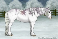 Horse Color:Watercolor White Spotted Silver Brown 