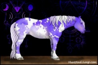 Horse Color:Watercolor White Spotted Silver Brown Chinchilla 