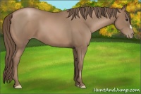 Horse Color:Black Pearl 