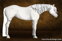 Horse Color:Silver Smoky Creme Ice Roan