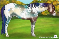 Horse Color:Painted White Spotted Red Onyx 