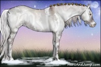 Horse Color:White Spotted Chocolate Silver Grullo Chinchilla Onyx Sabino 