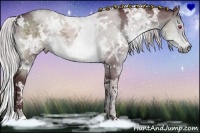 Horse Color:White Spotted Chocolate Silver Brown Chinchilla Ice Dun Sabino