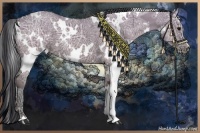 Horse Color:White Spotted Smoky Grullo Ice
