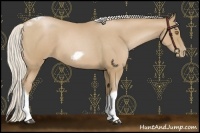 Horse Color:Silver Blue Roan Pearl Tobiano Frame 